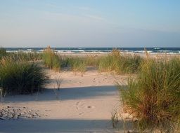 sand dune on the beach at the north sea
