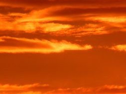 golden clouds at sunset