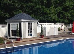 swimming pool backyard