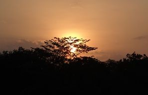 sun setting over trees in India