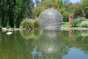 mirror image of plants in water