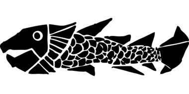 black and white drawing of sea fish on a white background