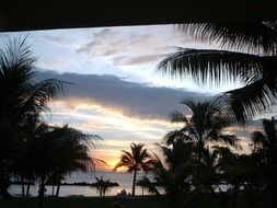 palm trees sunset, mauritius