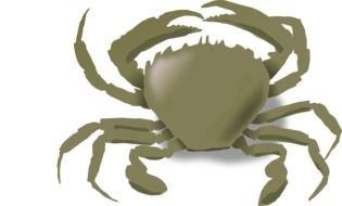 Brown crab clipart