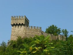 Baldwin Tower behind green trees
