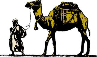 graphic image of a camel as a transport