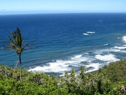 Landscape of Beach surf