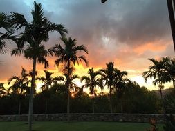 colorful sunset over palm trees on the island