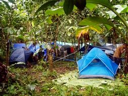 tent camp in jungle