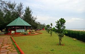 garden on the beach near the Arabian Sea