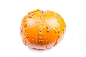 Decorative pumpkin