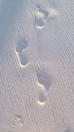 footprints on the white sand beach
