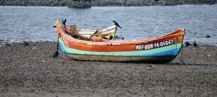 boat mhf bdr 1404847