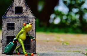 toy frog leaves home