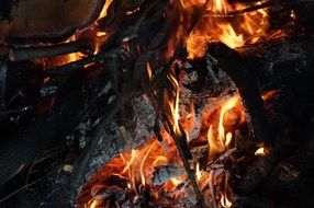 firewood in a bonfire close up