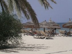 Beach in Djerba