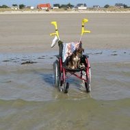 wheelchair on the beach