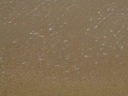 Sand on the coast close-up