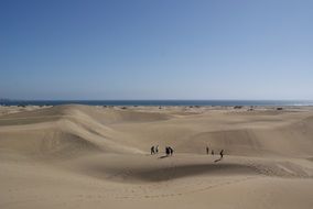 wonderful desert sand dune