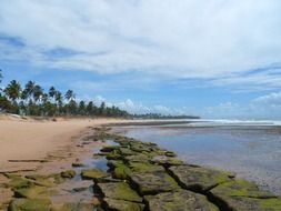 bahia deserted