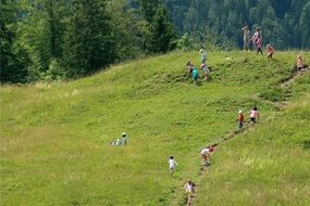 children on a green hill