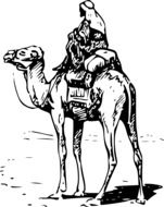 drawing of traveller on camel in the desert