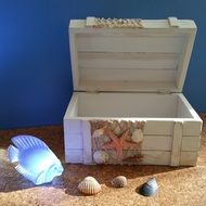 seashells near the wooden box