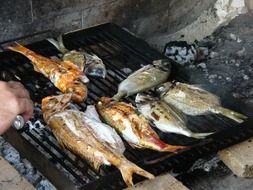 fish cooking on the barbecue