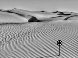 roundabout sign in desert