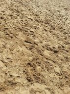 sandy beach in morocco closeup