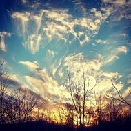 clouds in the evening sky over the silhouettes of trees