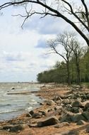 stone coast in peterhof