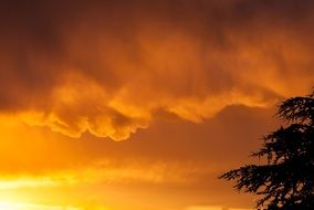 clouds in the rays of yellow sunset