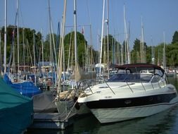 boats near each other in the port