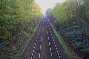 Empty railway in a forest