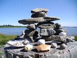 cairn and shells on tree stump on seaside