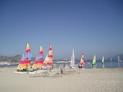 colorful sail boats