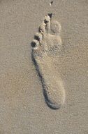 bulging footprint in the sand close up