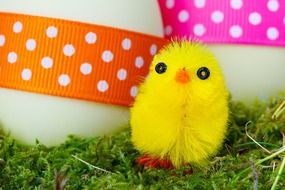 small yellow chicken, easter decoration