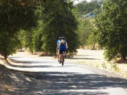 cyclists on the road among nature on a sunny day