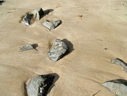 sand rocks stones