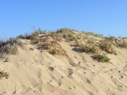 sand hill on a beach