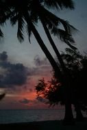 unusual beauty maldives beach