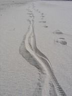 bicycle tracks in the sand