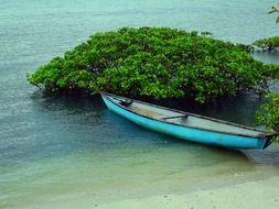 boat near beach