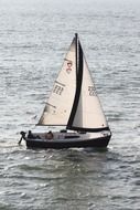 sailboat in California