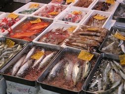 selling fish at the Tsukiji market