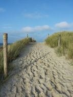 sand path to the beach