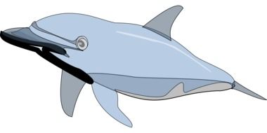 dolphin blue mammal drawing