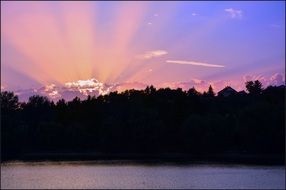 the sun behind the trees